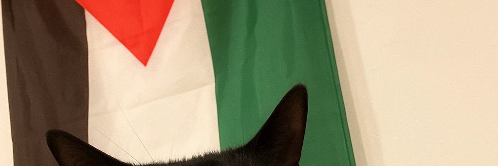 Haia's banner