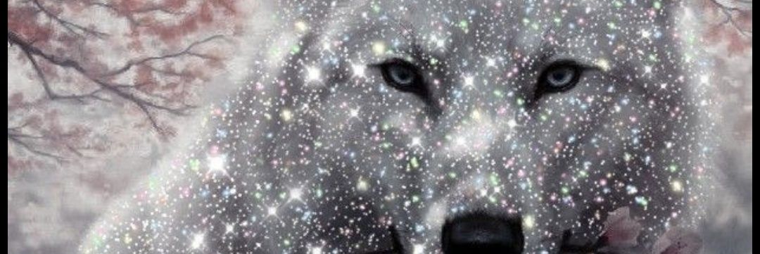 ༺ᥫᩣLꂦꌃꍏᥫᩣ༻'s banner