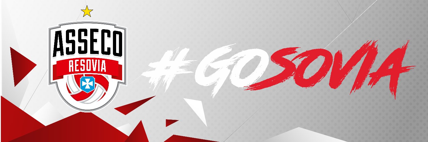 Asseco Resovia's banner