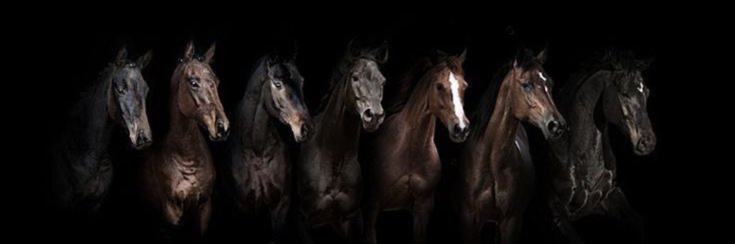 𝐵🇴🇲~'s banner