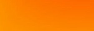 POP Bizde's banner