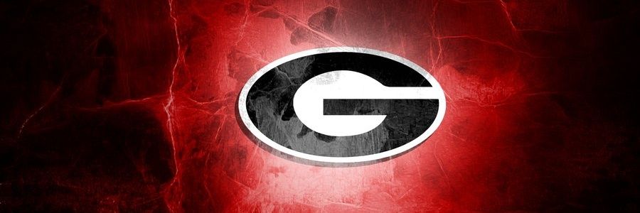 NWGA Storm Dawg ✝️'s banner