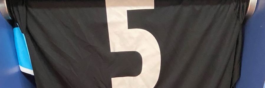 昊's banner