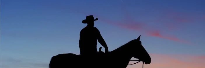 Joshua | Sean Cody Cowboy 🤠's banner