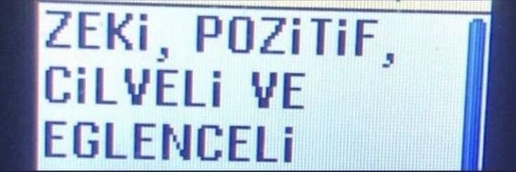 kürtlaç's banner