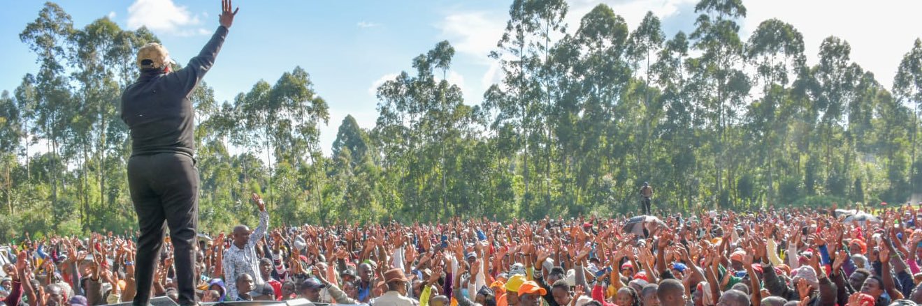 Wangui Ngirici's banner