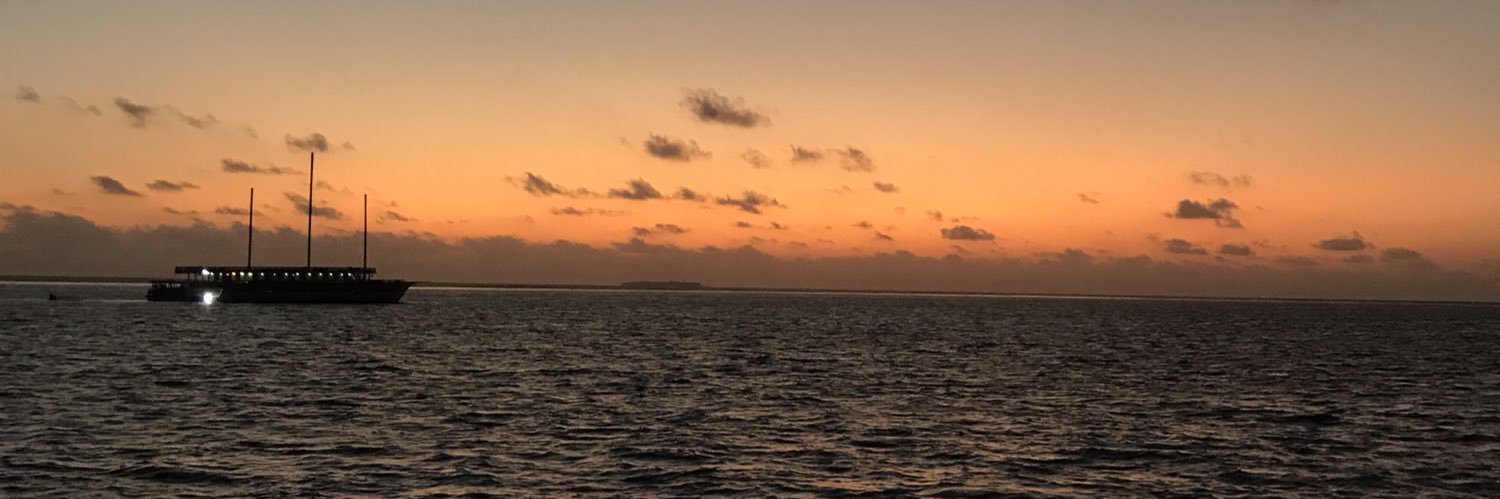 ocean diving（O）'s banner