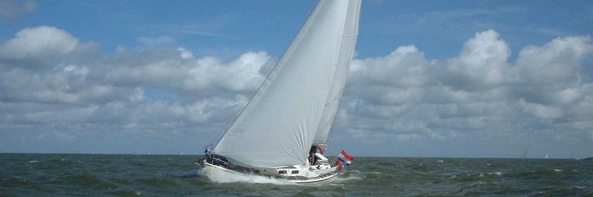 Teun's banner