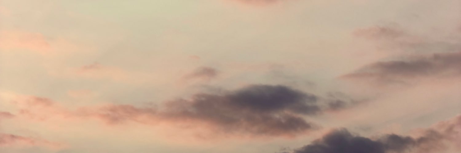 Optimista Radical's banner