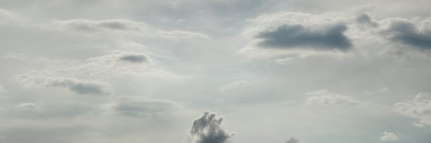 Optimista Radical's banner
