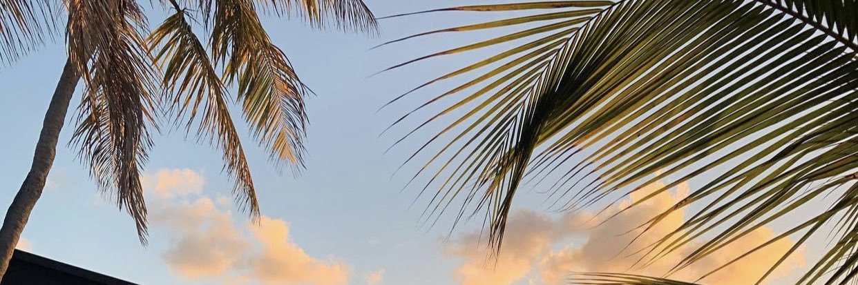 thespicyitalian's banner