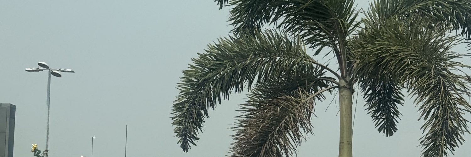 chellseey's banner