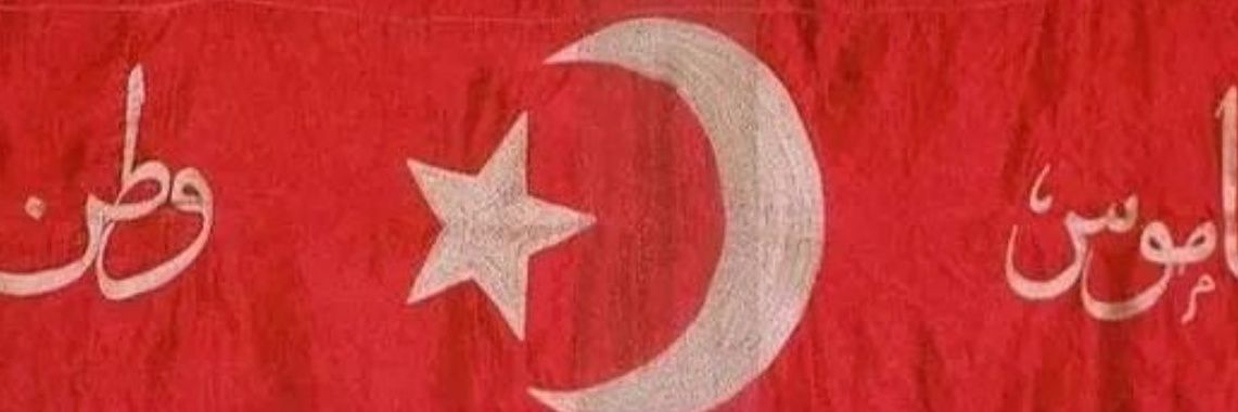 Ters Bayrak's banner