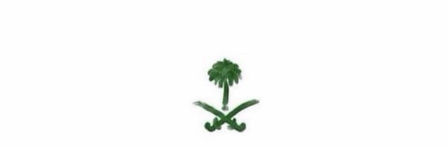 راعي الحيزا's banner