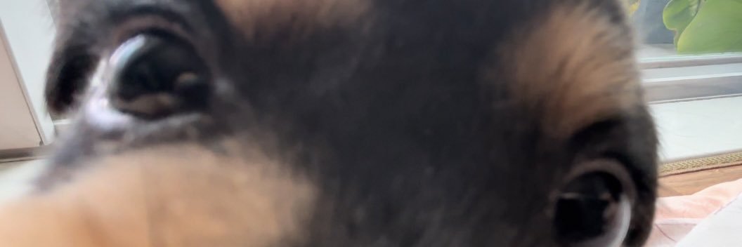 간장이's banner