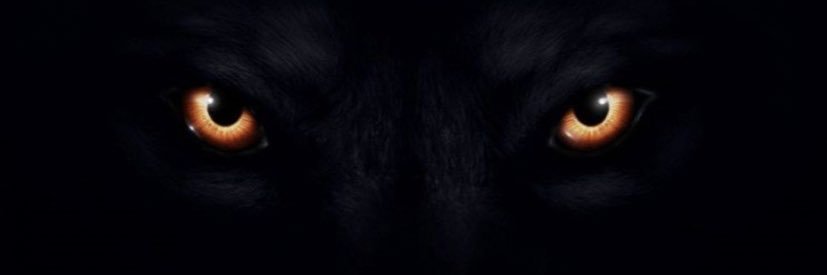 Monstamovez's banner