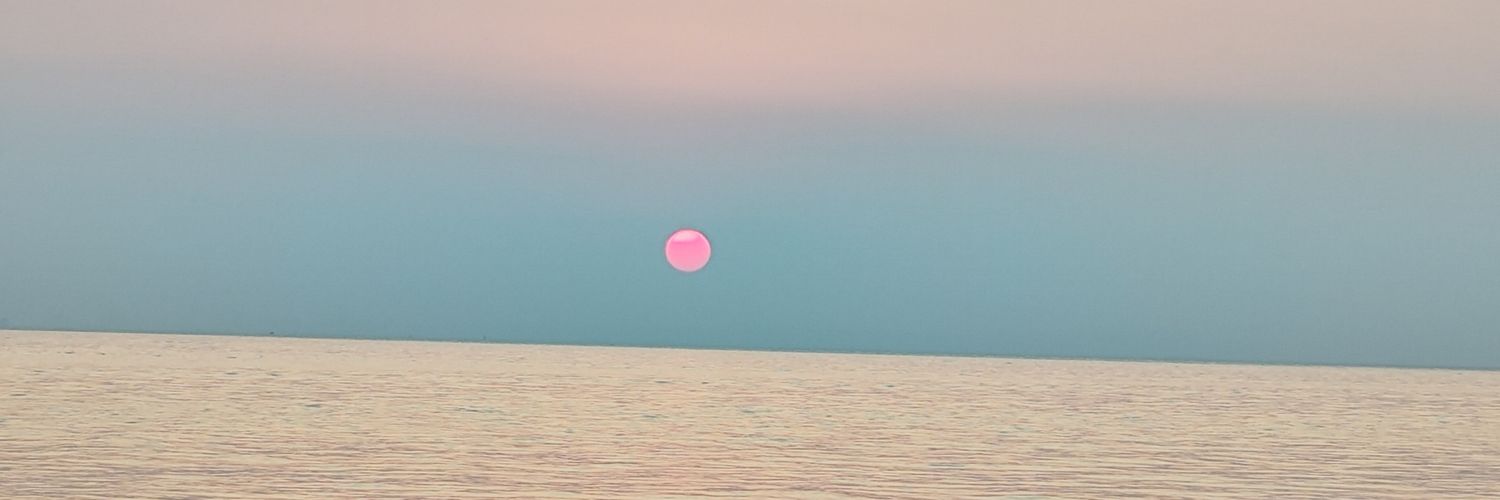 Mohn🏵️'s banner