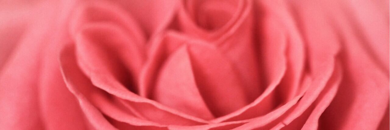 Pink.doll670's banner