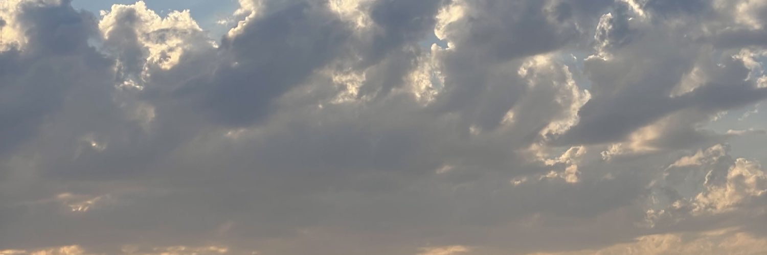 رائد الشديدي's banner