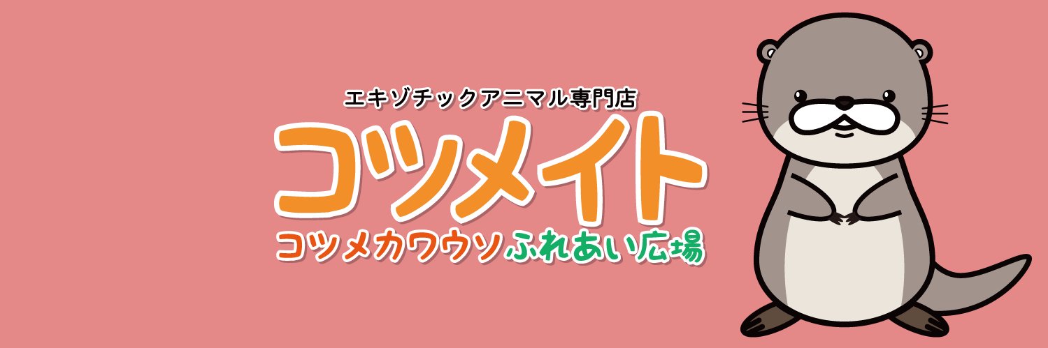 かわうそ幼稚園〜コツメイト〜's banner