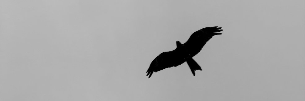sahil dhull's banner