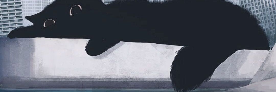 -泷泽萝莉QAQ-'s banner