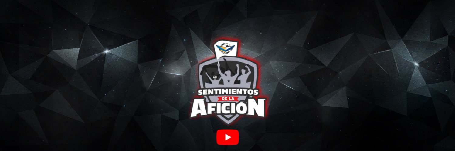 Salo Sesma's banner