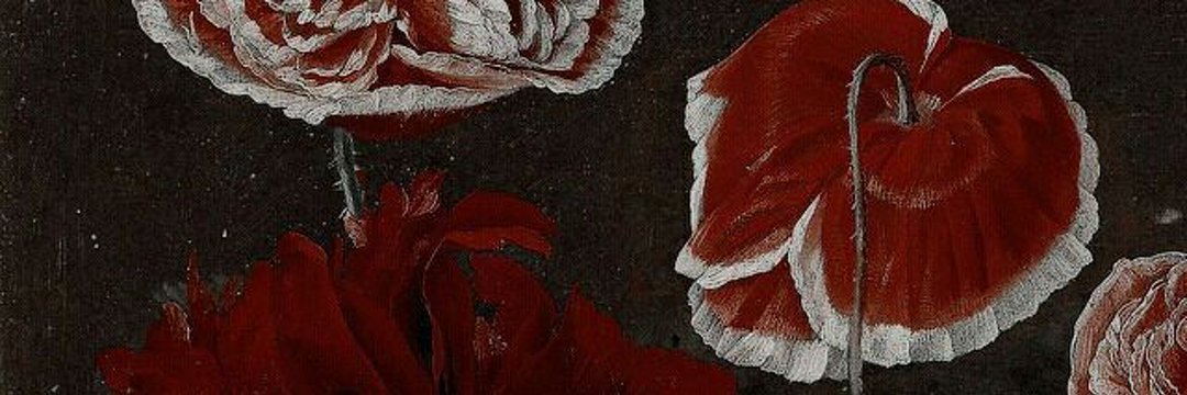 𝕯𝖔𝖓𝖆𝖙𝖊𝖑𝖑𝖆's banner