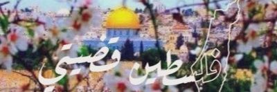 🔻محمود بن علي الندابي🔻's banner