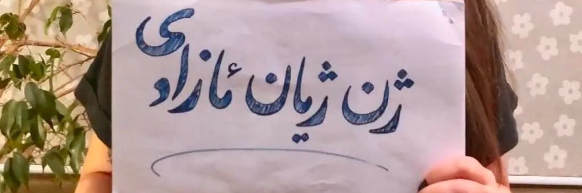 Mina Khani's banner