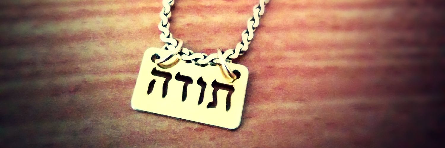 Yaara Zered יערה זרד's banner