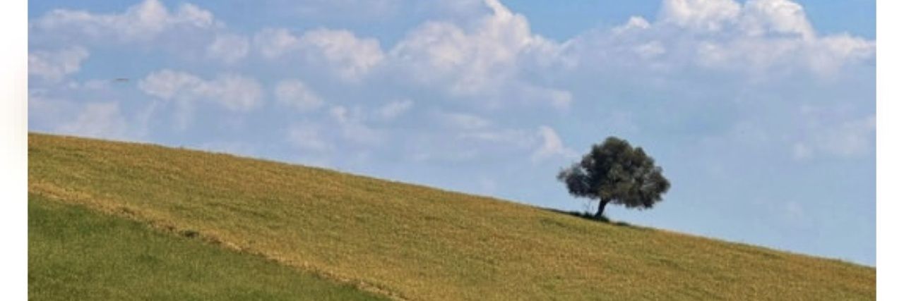 ...'s banner