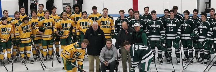 Babson Hockey's banner