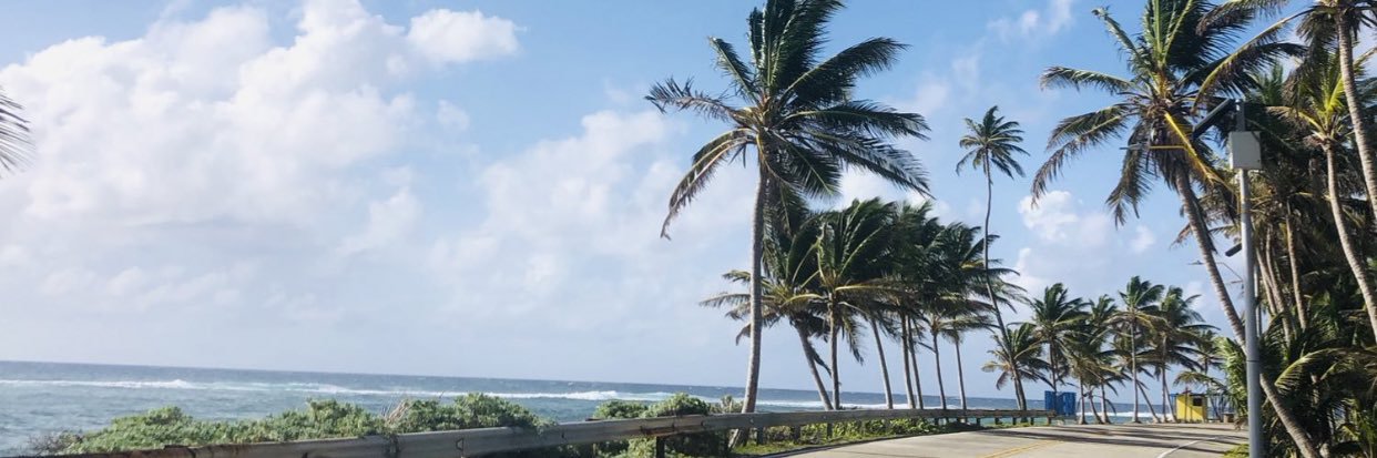 La flaca's banner