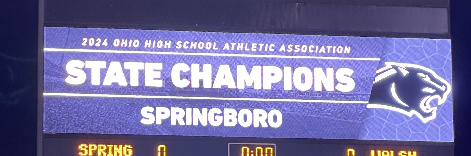Springboro Panthers's banner