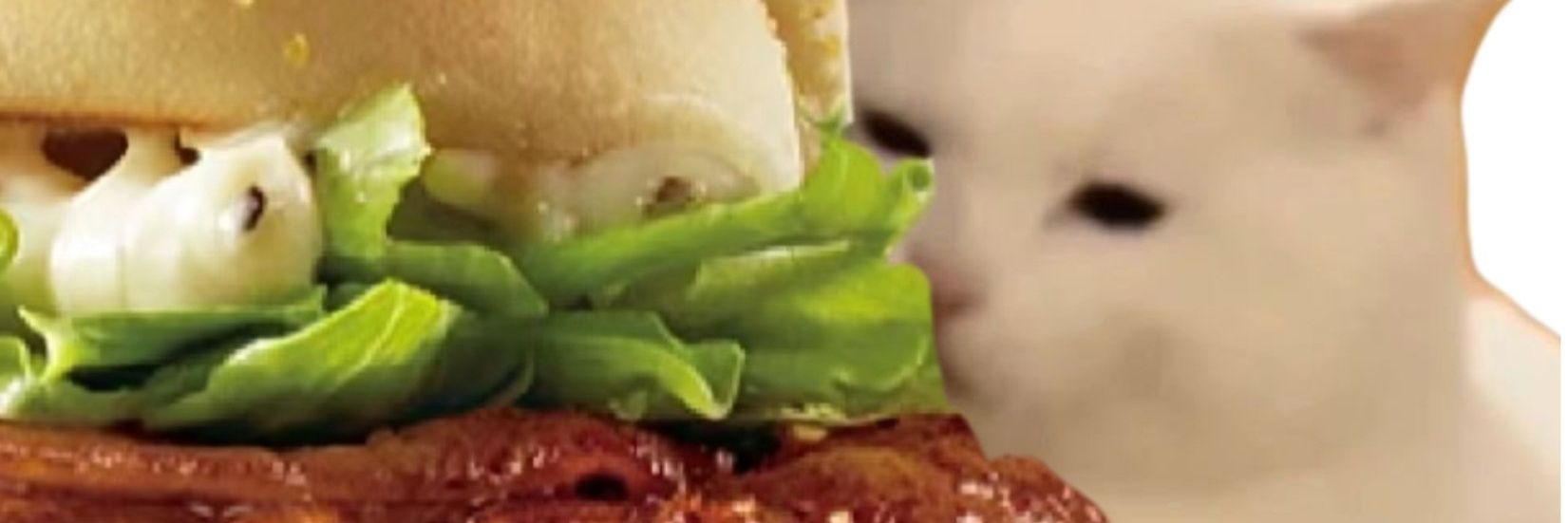 比奇堡大面包🍔's banner