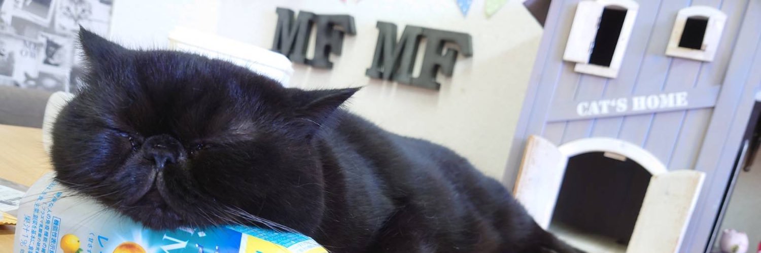 猫カフェmfmf/横浜駅's banner