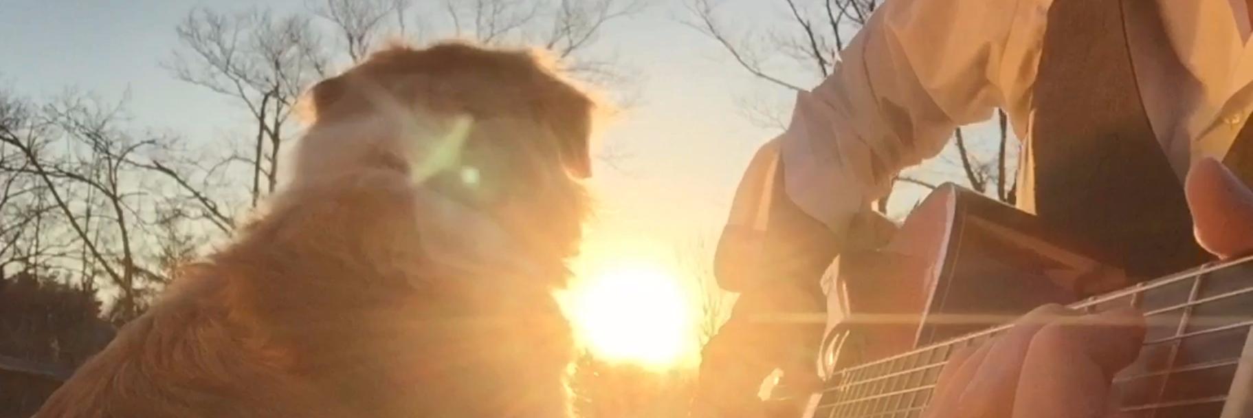 Trench's banner
