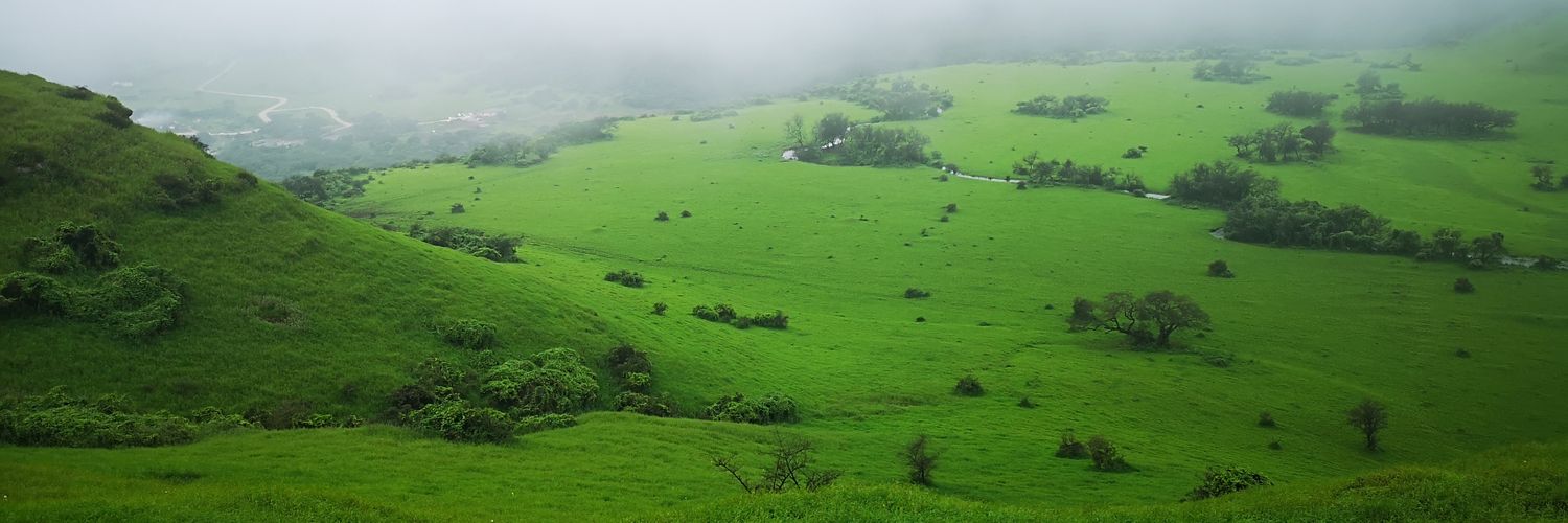ناصر الشحري's banner