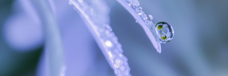 *﹆🐮ꔛ น้ำ 🍶ෆ's banner