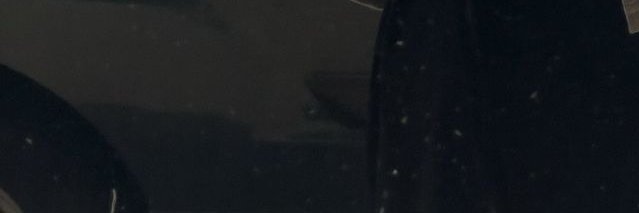 Sari's banner