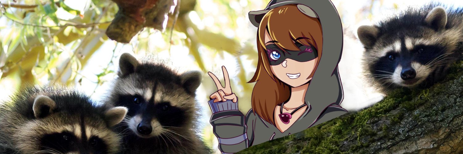 💜BlairBears🦝| Charity Raccoon's banner