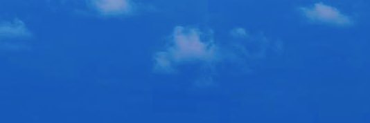 bongo fury's banner