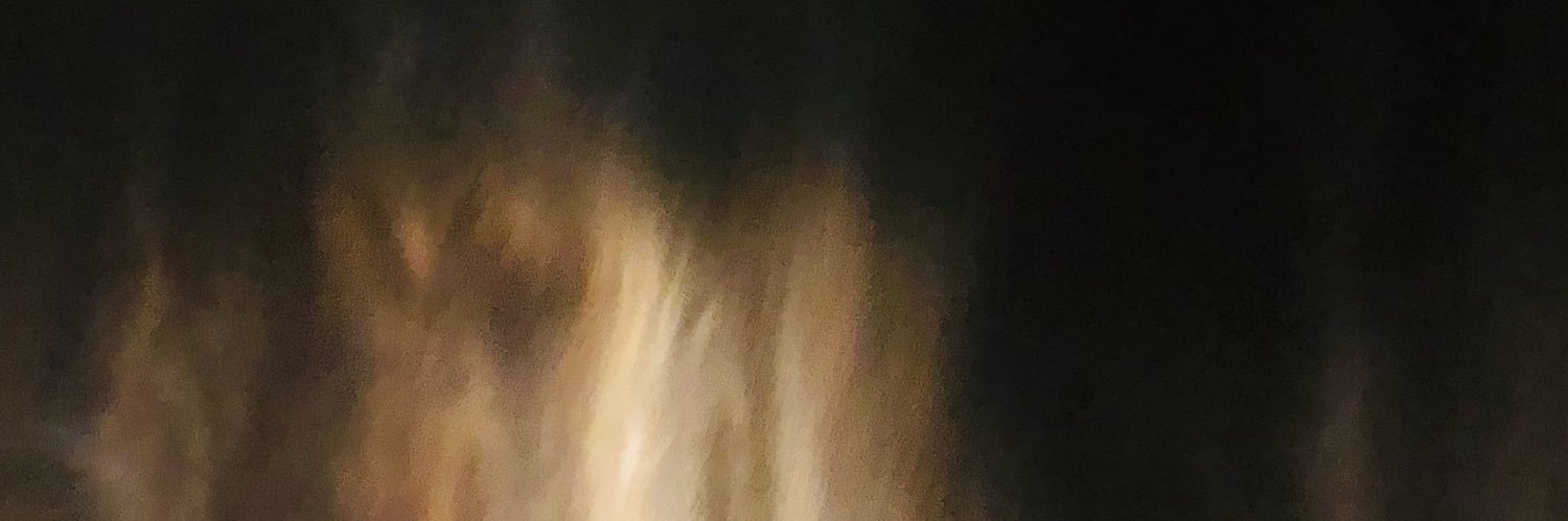 Steven Pu's banner