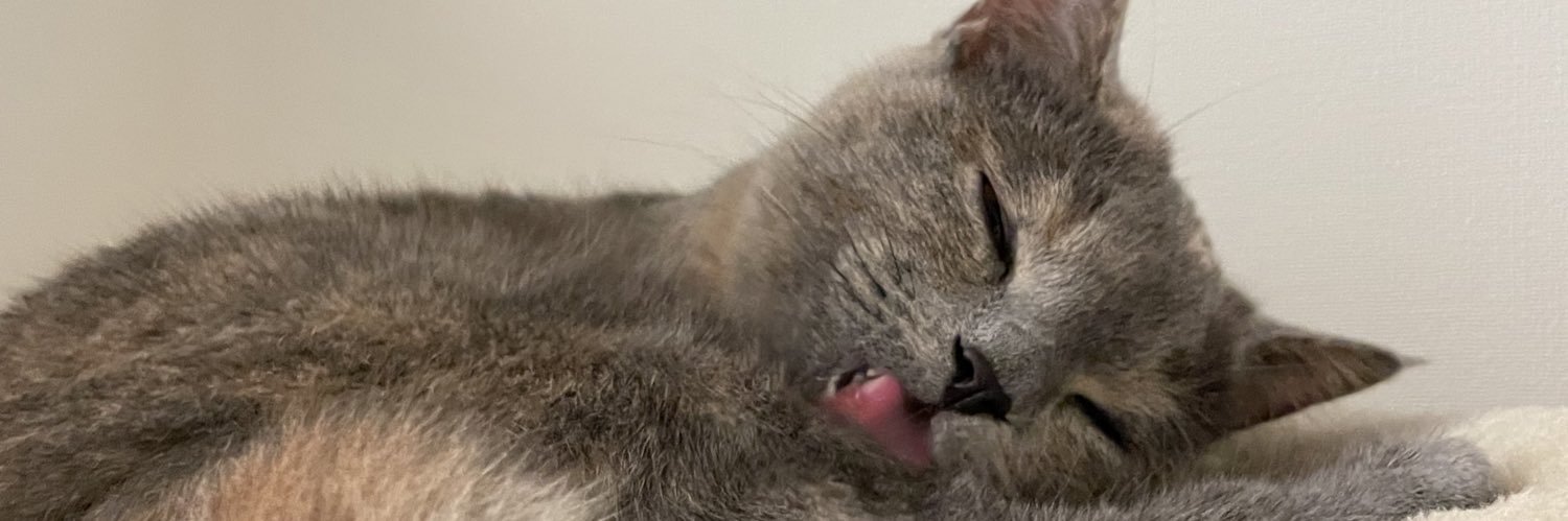 都丸 紗也華🐈‍⬛'s banner