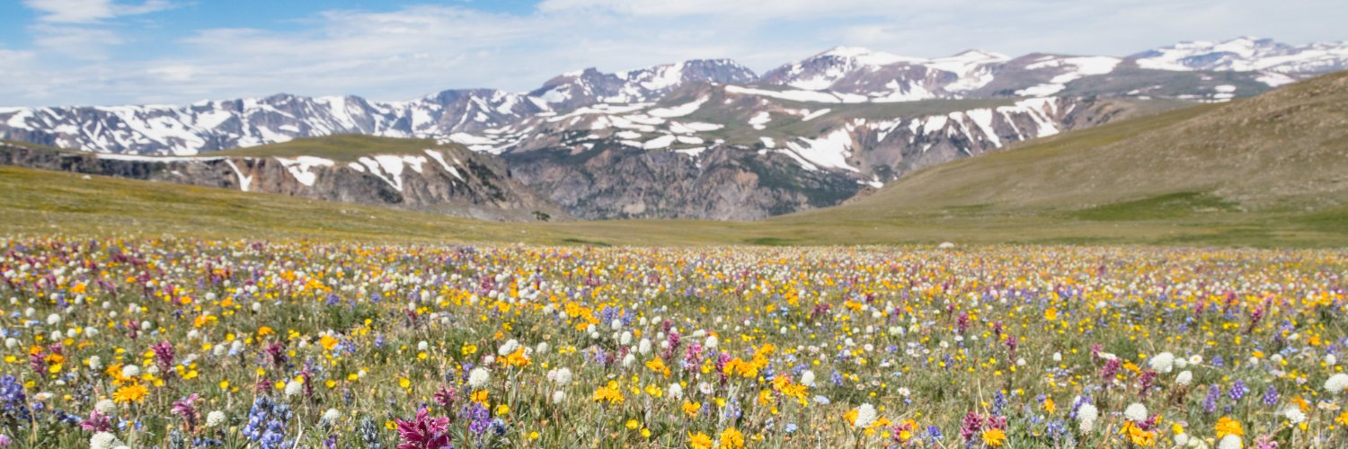 US Department of the Interior's banner