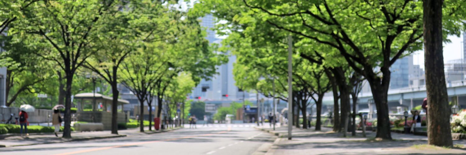 はやるん's banner