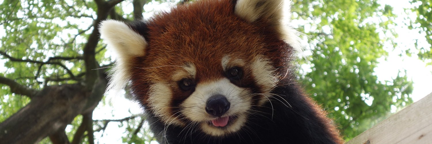 八木山動物公園フジサキの杜【公式】's banner