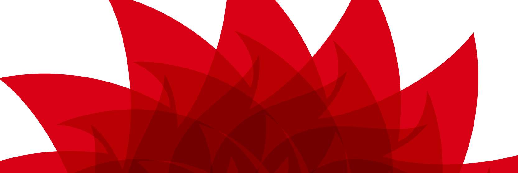 El pretty fly's banner