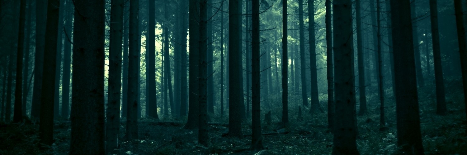 GAC Updates's banner